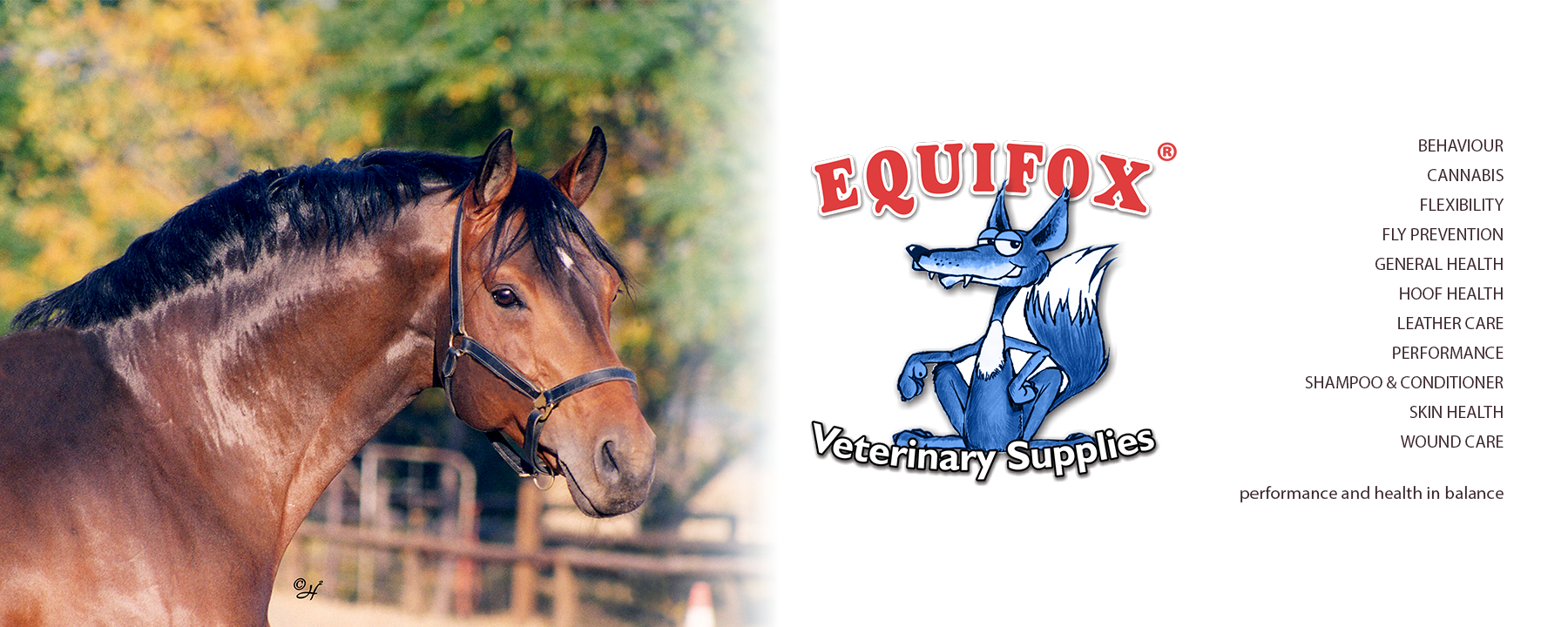 Equifox Veterinary Supplies Image banner