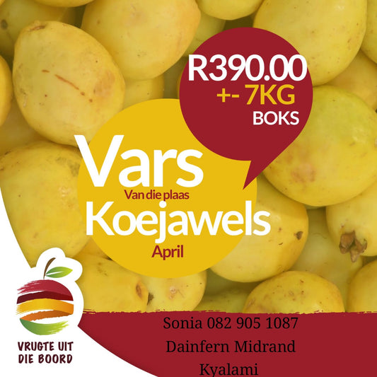 Barnlife Online Vrugte uit die Boord Guava image