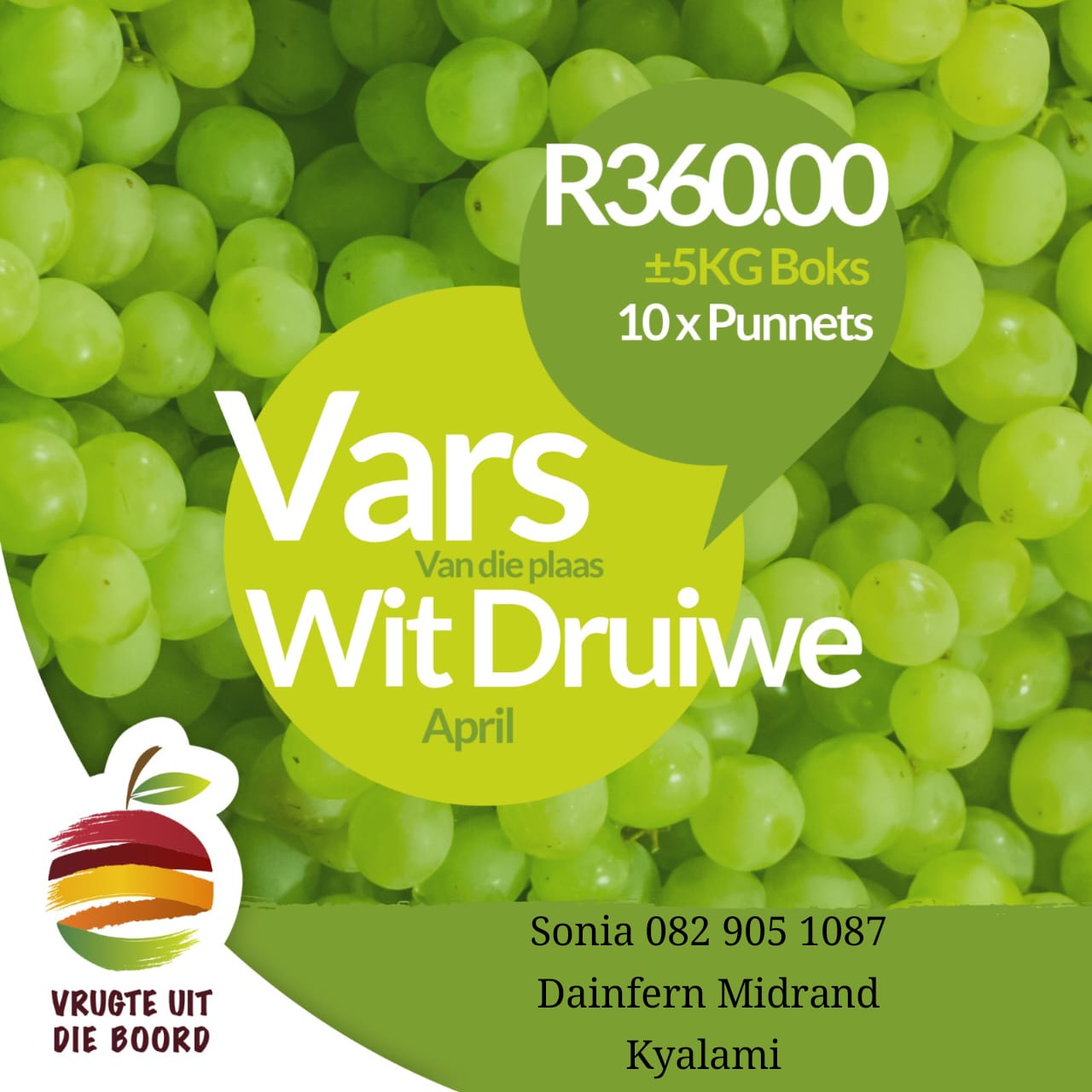 Barnlife Online Vrugte uit die Boord green grape image