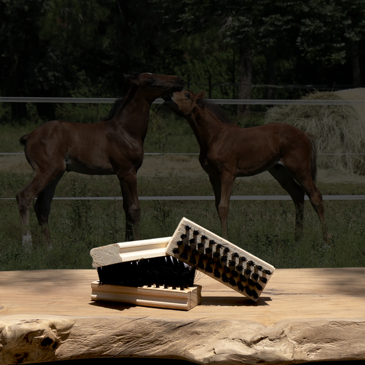 Standard Shoe Brush Black product image