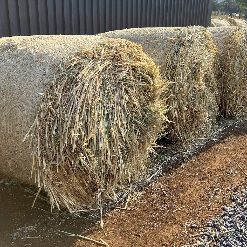 1.2m Oat Hay Bales for sale at BarnLife Online Feeds